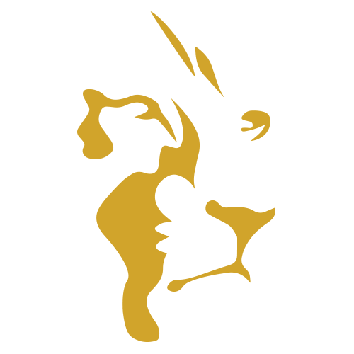 Insurance fraud: consequences, risks and legal assistance